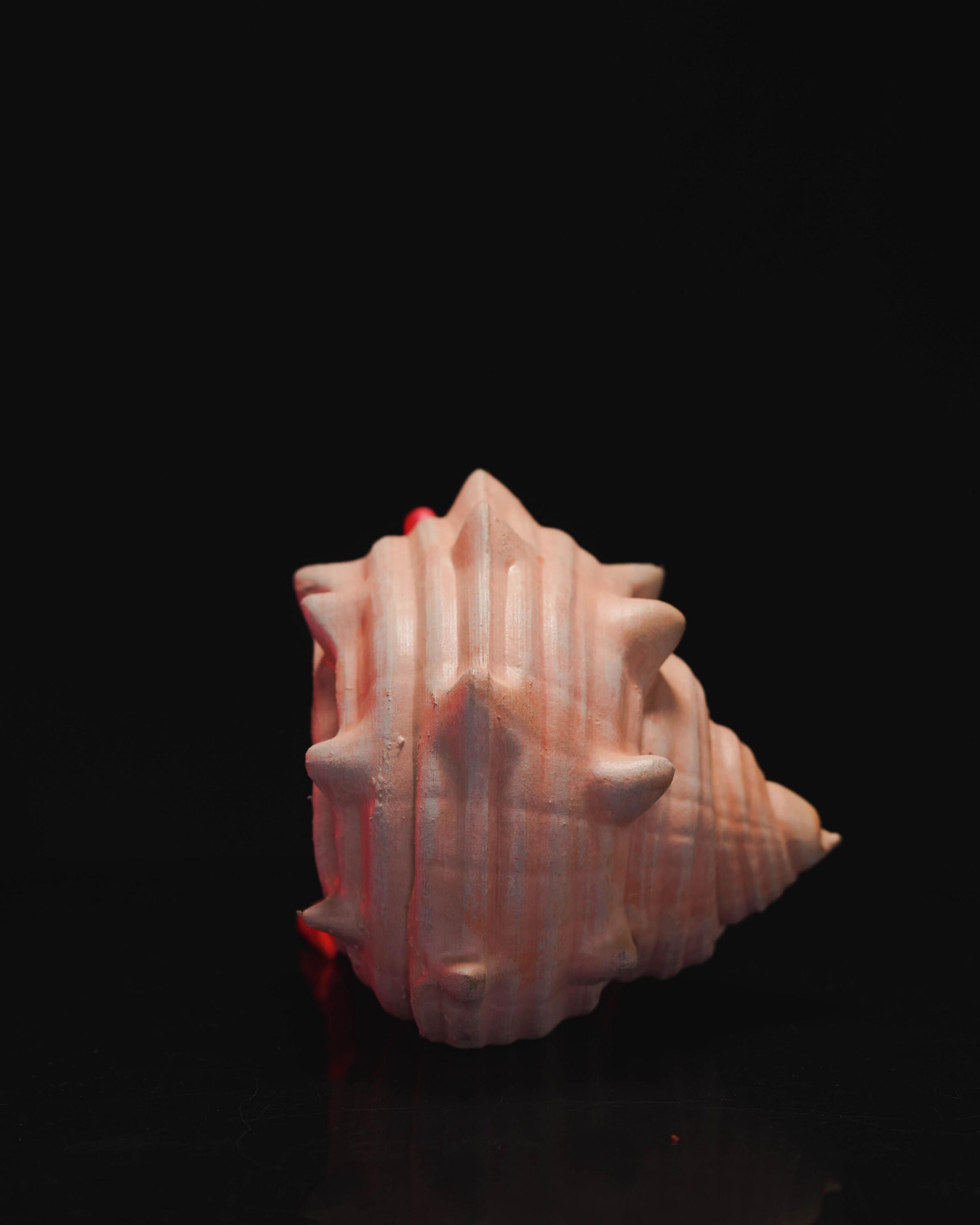 3D Printed Articulated Hermit Crab – Fidget Toy With Removable Shell - Etsy