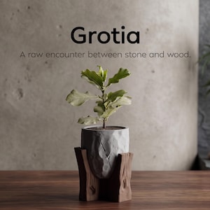Puede incluir: Una pequeña planta en maceta con hojas verdes en una maceta gris con forma de piedra, colocada en un soporte de madera. El texto "Grotia" y "A raw encounter between stone and wood" se muestran encima de la planta. El fondo es de color neutro.