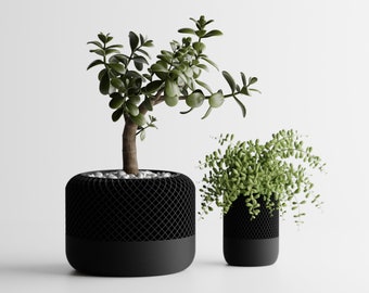 Modern Geometric Lattice Planter | 3D Printed Succulent Pot, Indoor Decor