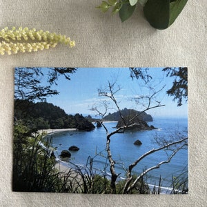 College Cove Postkarte