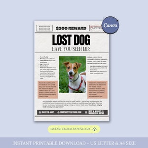 Missing Dog Flyer Template, Lost Dog Poster, Editable Lost Pet Poster, Lost Dog Search Sign, Lost Dog Alert, Missing Dog Reward Poster,Canva