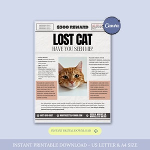 Missing Cat Flyer Template, Lost Cat Poster, Editable Lost Pet Poster, Lost Cat Search Sign, Lost Cat Alert, Missing Cat Reward Poster,Canva
