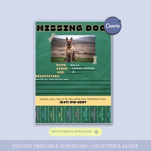 Missing Dog Flyer Template, Lost Dog Poster, Editable Lost Pet Poster, Lost Dog Search Sign, Lost Dog Alert, Missing Dog Reward Poster,Canva