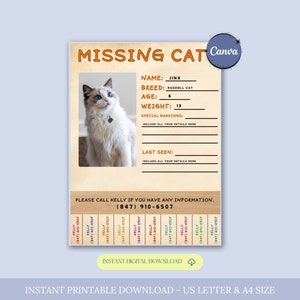 Missing Cat Flyer Template, Lost Cat Poster, Editable Lost Pet Poster, Lost Cat Search Sign, Lost Cat Alert, Missing Cat Reward Poster,Canva