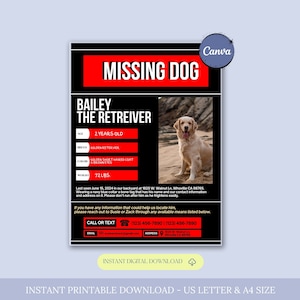 Missing Dog Flyer Template, Lost Dog Poster, Editable Lost Pet Poster, Lost Dog Search Sign, Lost Dog Alert, Missing Dog Reward Poster,Canva