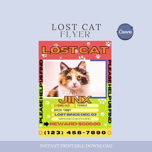 May include: Lost cat flyer with a photo of a calico cat named Jinx. The flyer includes the cat's age, breed, and a reward of $500.00. The phone number to call is (123) 456-7890.