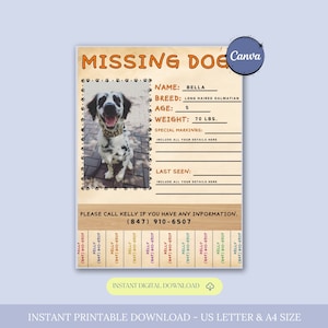 Missing Dog Flyer Template, Lost Dog Poster, Editable Lost Pet Poster, Lost Dog Search Sign, Lost Dog Alert, Missing Dog Reward Poster,Canva