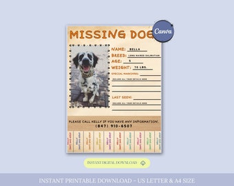 Plantilla de volante de perro perdido, cartel de perro perdido, cartel de mascota perdida editable, señal de búsqueda de perro perdido, alerta de perro perdido, cartel de recompensa de perro perdido, Canva