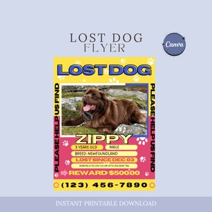 Missing Dog Template, Missing DogFlyer, Editable Lost Pet Poster, Lost Dog Search Sign, Lost DogAlert, Missing Dog Reward Poster, Canva