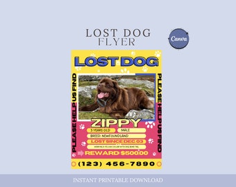 Missing Dog Template, Missing DogFlyer, Editable Lost Pet Poster, Lost Dog Search Sign, Lost DogAlert, Missing Dog Reward Poster, Canva