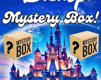 Disney Inspired Mystery Box Disney Merch Gift Idea Mystery Box Bundle