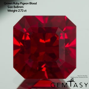 Può includere: Una gemma di rubino sfaccettata, taglio quadrato, di colore rosso intenso. L'immagine mostra le dimensioni di 8x8mm e il peso di 2,73 ct. La gemma è etichettata "Grown Ruby Pigeon Blood". Il logo "GEMTASY" è visibile.