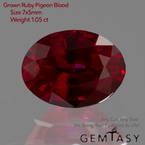 Può includere: Una pietra preziosa di rubino di colore rosso intenso, di forma ovale, conosciuta come "Pigeon Blood", con una dimensione di 7x5mm e un peso di 1,05 carati.
