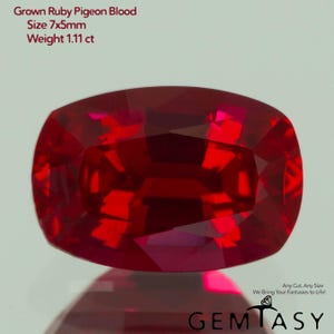 Può includere: Un rubino rosso intenso, taglio a cuscino. L'immagine mostra le dimensioni della gemma: 7x5mm e un peso di 1,11 ct. Il testo indica che è un rubino "Grown Ruby Pigeon Blood". Il logo Gemtasy è visibile in basso.