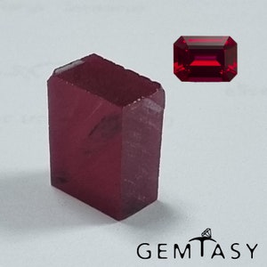 Può includere: Un cristallo di rubino grezzo, rosso intenso, è in piedi accanto a una gemma di rubino tagliata a forma rettangolare. Il cristallo ha una superficie ruvida e strutturata con sfaccettature visibili. La gemma è di un rosso vibrante, di forma rettangolare e taglio a gradini. Il logo Gemtasy è in basso.