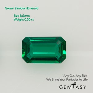 May include: A vibrant green emerald gemstone, cut in a rectangular shape, with the text "Grown Zambian Emerald", "Size 5x3mm", and "Weight 0.30 ct" above it. The text "Any Cut, Any Size" and "We Bring Your Fantasies to Life!" is below the gemstone, with the word "GEMTASY" at the bottom.