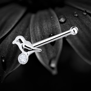 May include: Silver nose ring with a small bird charm and a clear crystal stone.