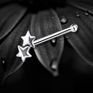 May include: A silver nose stud with two star-shaped charms and a small ball on the other end. The jewellery is set against a dark, blurred background with water droplets.