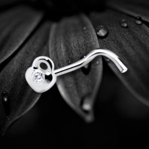 May include: A silver nose stud featuring a heart-shaped design with a small, clear gemstone. The curved stud is set against a dark, textured background with water droplets.