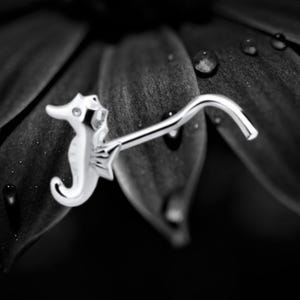 May include: A silver seahorse nose ring with a curved post. The seahorse is detailed with a small eye and fins. The jewelry is set against a dark background with water droplets.
