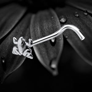 925 Sterling Silver Frog Nose Stud | Cute Silver Nose Ring | Frog-Shaped Body Piercing Jewellery | Fun Animal Nose Piercing Gift