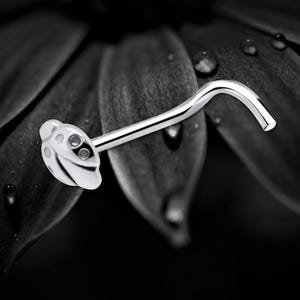 May include: Silver nose ring with a ladybug design. The ladybug has black spots and white wings.