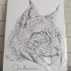 Stampe di animali A4, fauna selvatica, arredamento