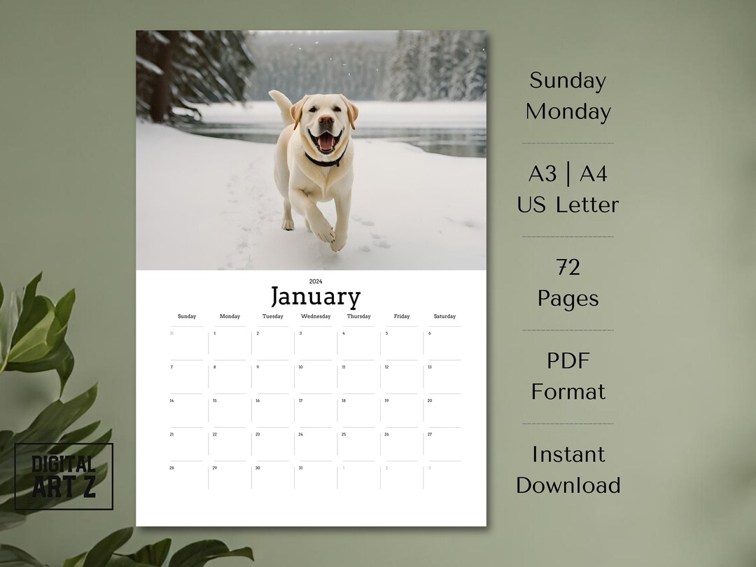 2024 Labrador Calendar Printable Monthly A3, A4, Letter 8.5 X 11 Monday