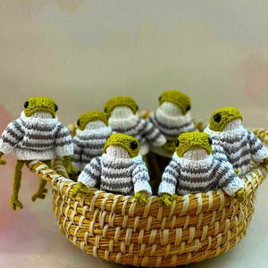 Cute Froggie , Custom Crochet frog, Froggie's Sweater, Sweater to fit frog, toys for kids, finished toy