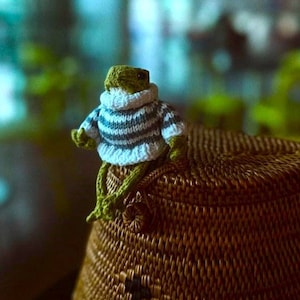 Crochet Frog with Sweater: Handmade Organic Cotton Amigurumi