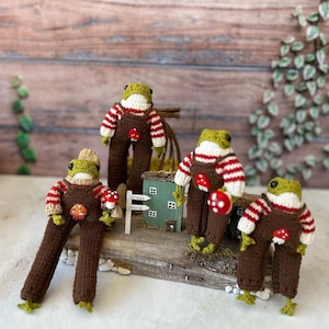 May include: Four knitted frog figurines wearing brown overalls and red and white striped jumpers. The frogs are holding red and white mushrooms. The frogs are sitting on a wooden surface with a small wooden house and a sign that says "Dileks World".