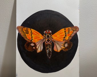 Original Orange Cicada Artwork