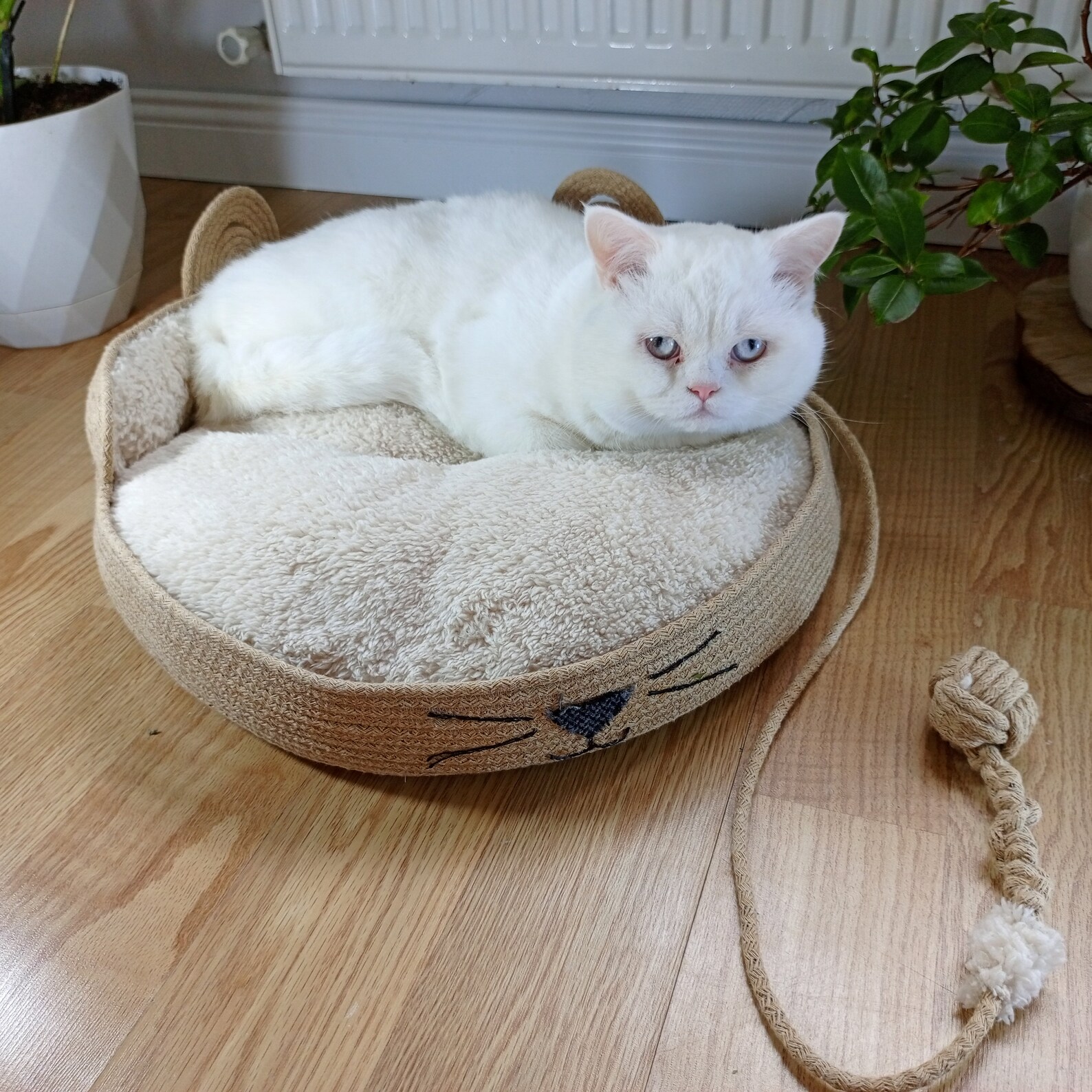 Eco-friendly Jute Rope Pet Bed - Personalized, Sustainable Comfort for ...