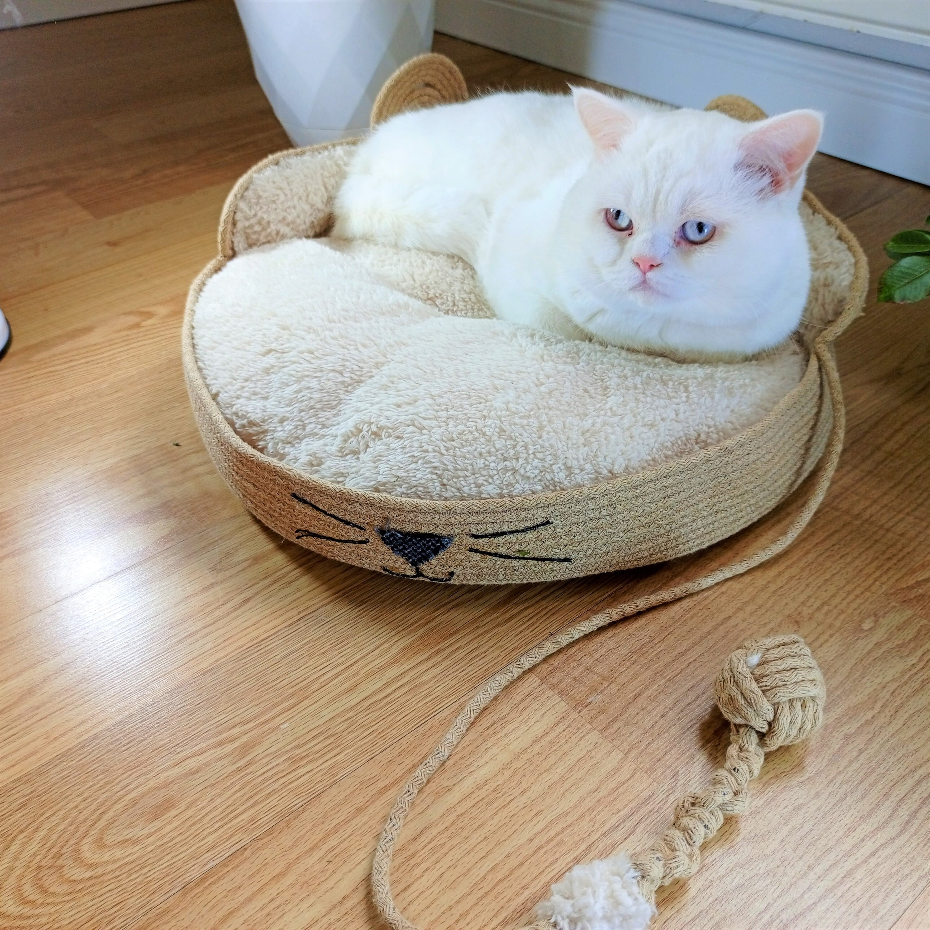 Eco-friendly Jute Rope Pet Bed - Personalized, Sustainable Comfort for ...