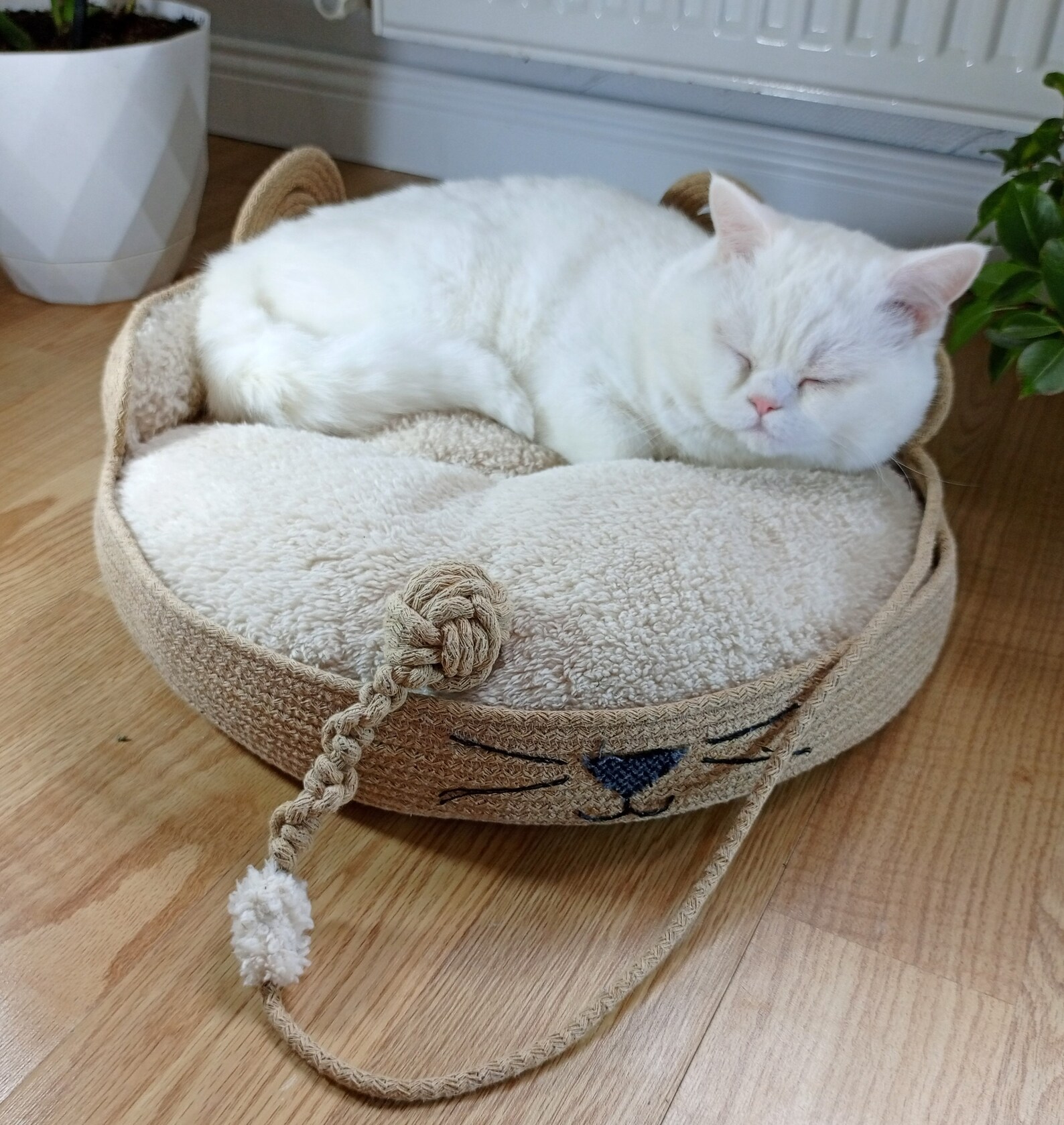 Eco-friendly Jute Rope Pet Bed - Personalized, Sustainable Comfort for ...