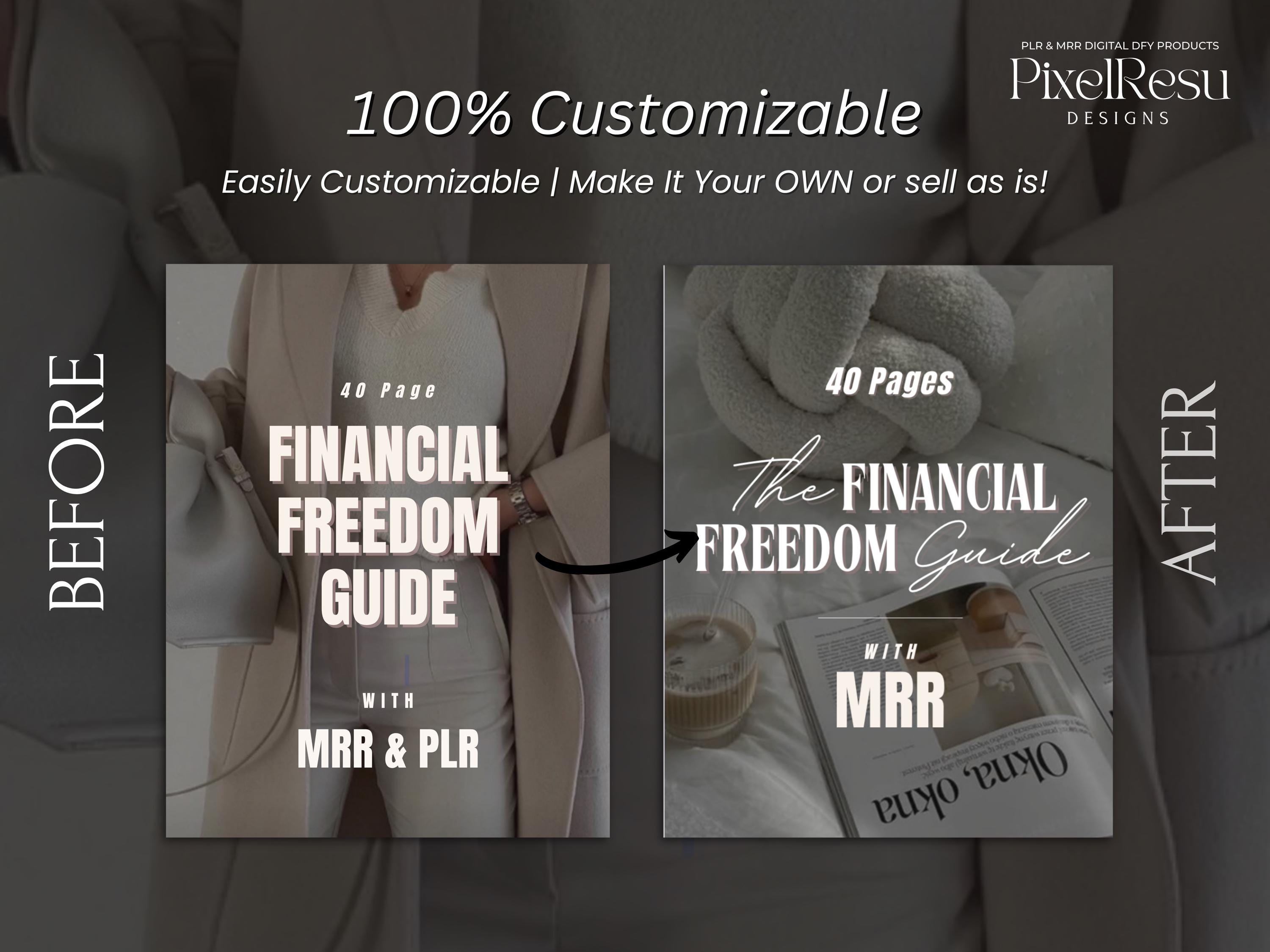 MRR PLR Financial Freedom Ebook Guide, Ebook With Master Resell Rights ...