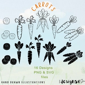 Carotte PNG, Carotte vectorielle, Carotte design, Carotte SVG, Dessins de carotte, Silhouette de carotte, clipart végétarien, clipart alimentation saine et clipart nourriture