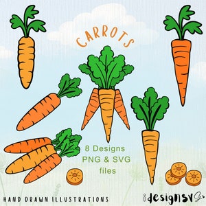 Carotte PNG, vecteur de carotte, conception de carotte, carotte SVG, dessins de carottes, carotte, clipart végétarien, clipart d'aliments sains, clipart nourriture.