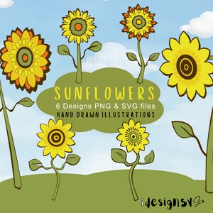 Imágenes prediseñadas de girasol, girasol colorido, arte vectorial de girasol, girasol rubio fresa, flores vectoriales, patrones de vectores de flores, flores.