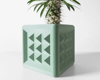 Vase for plants and flowers. Botany Chic Cube: The Vase that Transforms the Ordinary into Extraordinary. Choose the size, color, and tray.