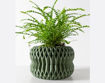 Botany Chic Pirelli : Le vase qui transforme l'ordinaire en extraordinaire. Plantes et fleurs. Choisissez la taille, la couleur, la base et le support.