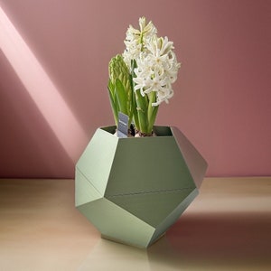 Plant pot. Botany Chic Dodecagon: The Vase that Transforms the Ordinary into Extraordinary. Plants and flowers. Choose size and color.