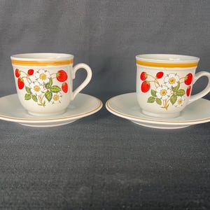 A Pair of Vintage 70's Sheffield Strawberries and Cream Teacup and Saucer--Made in Japan