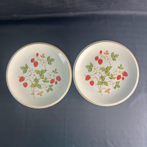 A Pair of Vintage 70&#39;s Sheffield Strawberries and Cream Dinner Plate--Made in Thailand