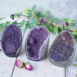Könnte beinhalten: Drei Amethyst-Geoden in verschiedenen Lilatönen mit Kristallformationen. Die oval geformten Geoden sind auf einer weißen Holzoberfläche ausgestellt, mit kleinen rosa Rosen und grünem Laub. Die Geoden sind mit 7, 8 und 9 nummeriert.