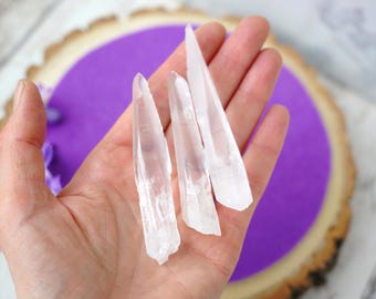 Puede incluir: Cuatro puntas de cristal de cuarzo transparente, también conocidas como cristales de roca, se sostienen en una mano sobre un fondo morado. Los cristales son largos y delgados, con una punta puntiaguda.