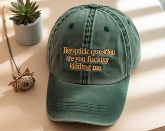 Embroidered Baseball Cap: Funny Saying Washed Dad Hat