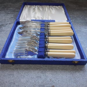 Vintage Boxed Set Of Silver Plated Faux Bone Handled Fish Cutlery 12 Pieces.