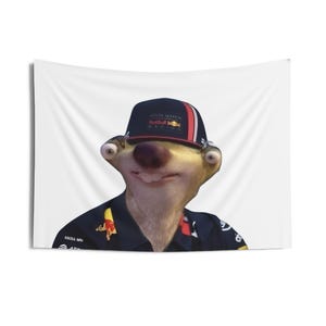 Può includere: Un bradipo che indossa un berretto da corsa blu e rosso con il testo "Aston Martin Red Bull Racing". Il bradipo indossa una tuta da corsa blu con accenti rossi.