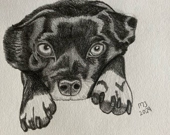 Custom Hand Drawn Graphite Dog Pet Portrait | Have Your Dog Drawn In Shadow/Semi-Realism Art Style | Holiday, Anniversary Gift, Mother's Day